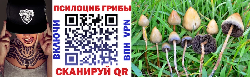 где продают наркотики  это какой сайт  mega рабочий сайт  Псилоцибиновые грибы Cubensis  Кемерово 