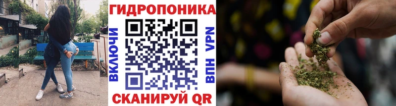 Конопля планчик  Кемерово 